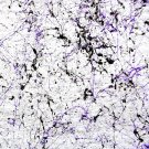 Purple Haze